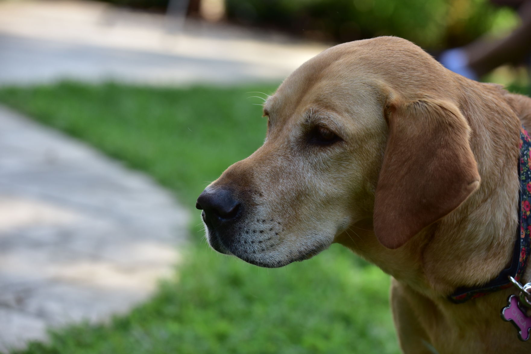 DSC_3996.JPG